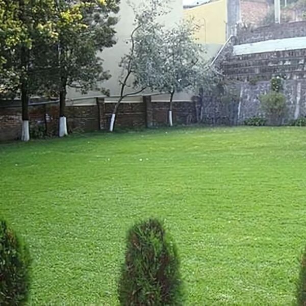 Areas verdes