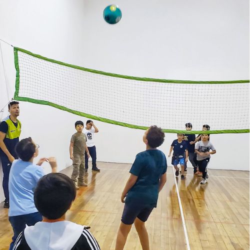 Wallyball